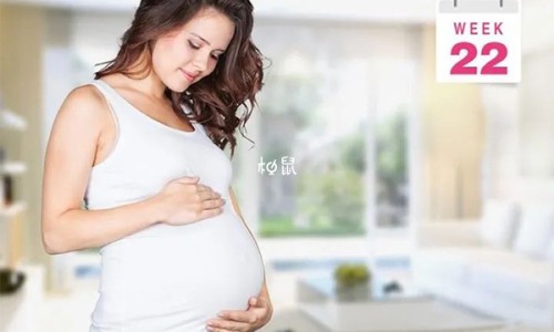 葛根营养糊网 | 葛根糊糊,葛根粉营养
