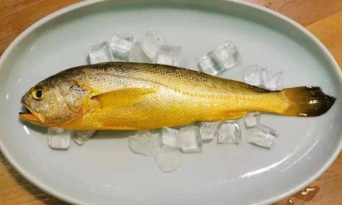 葛根营养价值和它的功效-葛根营养糊网 | 葛根糊糊,葛根粉营养