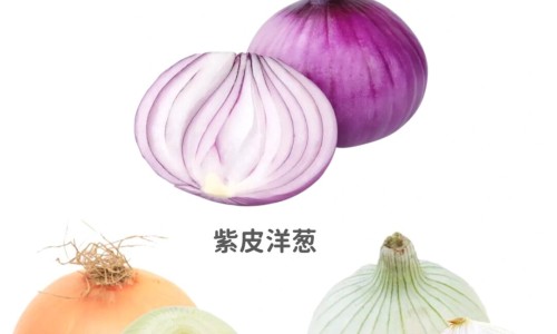 葛根粉的营养成分和功效-葛根营养糊网 | 葛根糊糊,葛根粉营养